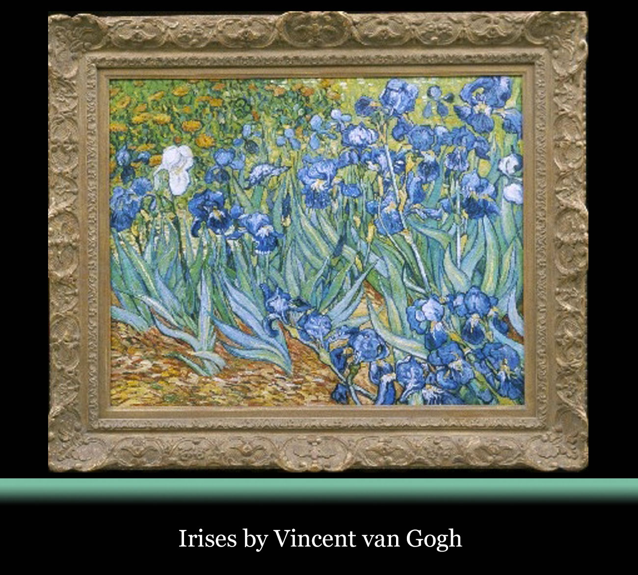 Irises_Vincent-van-Gogh_Re-Creation